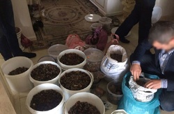 В Рівненській області правоохоронці вилучили бурштин на 2 млн гривень