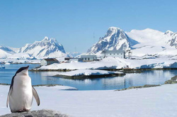 Антарктика