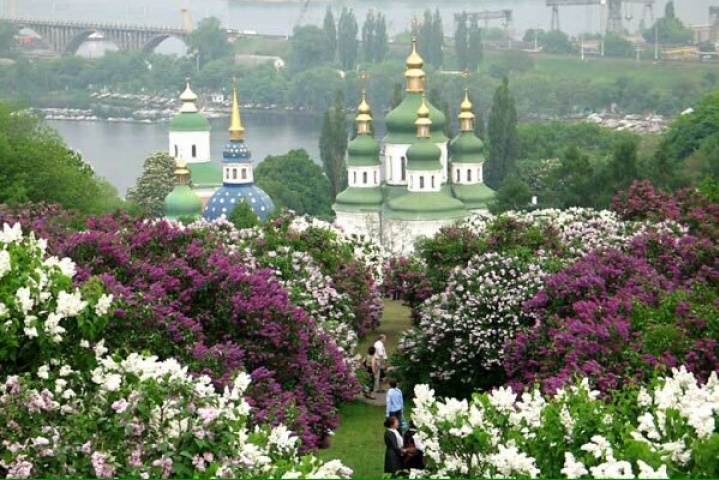 53 року тому ботанічний сад імені Миколи Гришка у Києві став доступним для киян