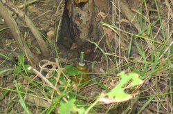 Фото: segodnya.ua
  