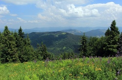 В останній день весни обіцяють теплу погоду