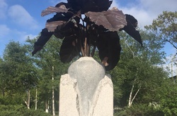 В Николаеве вместо Ленина разместили памятник…  сахарной свекле