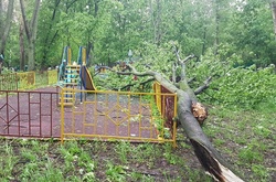 Повалені ураганом дерева у Москві