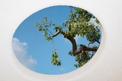 Бруклинский фотограф ищет сюрпризы на городских улицах