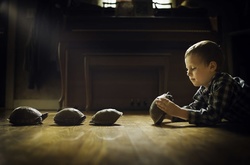 Зворушливий фотопроект американсько-української родини про дитинство у селі