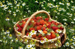 У найближчі дні погода в країні не зміниться 