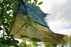 Український прапор на звільненій території