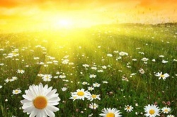 Літо в Україні