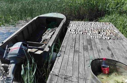 Вилучена риба