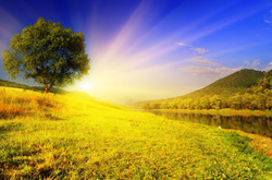 На декілька днів в Україні запанує справжнє літо