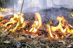 Два дні в Києві утримається пожежна небезпека