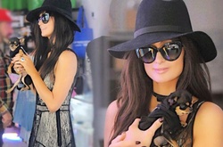 Пэрис Хилтон кардинально сменила цвет волос