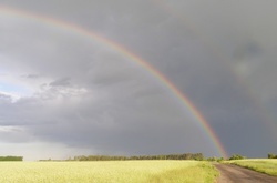 Синоптики прогнозують на четвер дощі з грозами