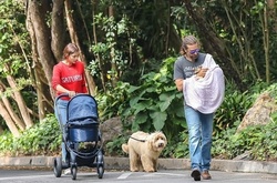 Брэдли Купера впервые подловили с новорожденной дочерью