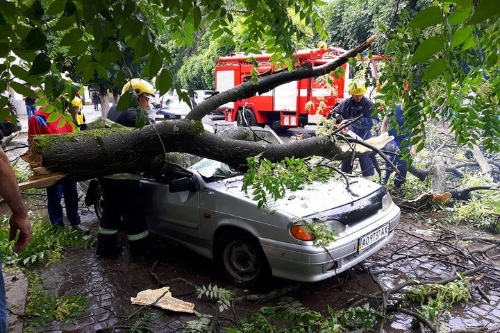 Ураган на Закарпатті повалив дерева та позривав дахи