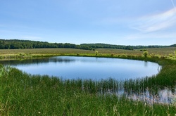 Синоптики прогнозують невелике похолодання на п'ятницю