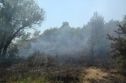 Пожежа на Хортиці