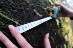 Землекористування