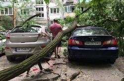 У Солом'янському районі величезна гілка впала на автомобілі (фото)