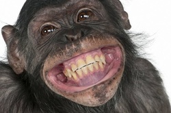 15 удивительных фактов о человеческом теле