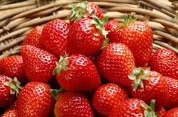 Фото: remontu.com.ua