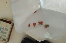  Зловмисники виготовляли саморобну вибухівку 
 Фото: СБУ 