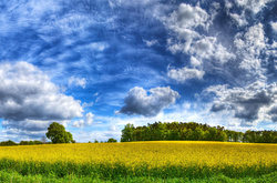 У четвер в Україні збережеться прохолодна погода