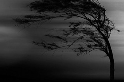 У Києві оголошено штормове попередження