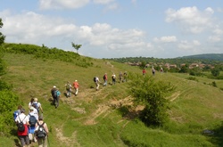 Сільський зелений туризм стає популярним в Україні - експерт