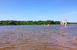 В Україні кожен другий пляж - непридатний для відпочинку цього літа 