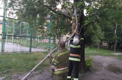 Рятувальники на місці інциденту