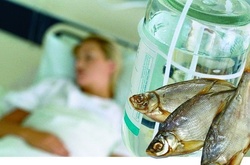 Харчові отруєння