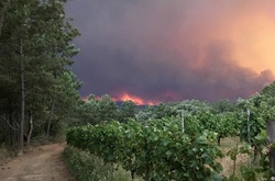 Кількість загиблих у пожежах Португалії зросла до 24 осіб