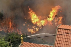 У пожежі в Португалії загинуло вже 39 осіб 