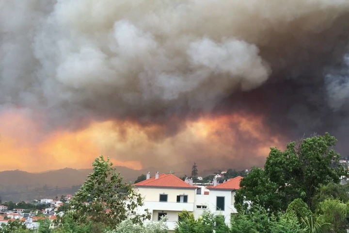 Лісова пожежа у Португалії забрала 43 життя. Постраждало - 59 осіб