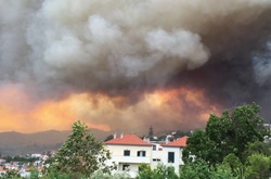 Лісова пожежа у Португалії забрала 43 життя. Постраждало - 59 осіб