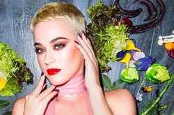 Кэти Перри установила новый рекорд в Twitter