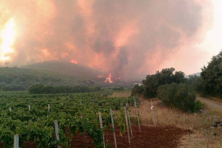 Хорватія потерпає від лісових пожеж: вогонь охопив південне узбережжя країни 