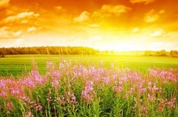 Сьогодні в Україні буде спекотно