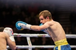 Четверо українців здобули ліцензії на ЧС з боксу