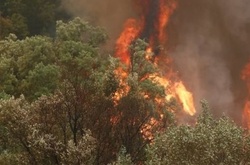 У Португалії під час гасіння лісових пожеж впав літак-бомбардувальник