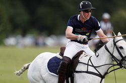 Принцу Уильяму - 35