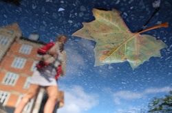 Мир в отражениях после дождя: лирические городские пейзажи в объективе греческого фотографа