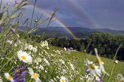 Погода в Україні