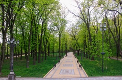 Парк &laquo;Володимирська гірка&raquo;