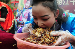 З'їж, якщо зможеш: в Китаї відбувся конкурс з поїдання комах