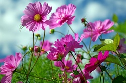 В Україну йде справжня спека