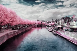 Сказочные пейзажи: фотограф показал, как выглядит мир в инфракрасном свете