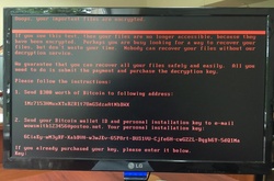 Eset: на Україну припало 75% заражень вірусом Petya