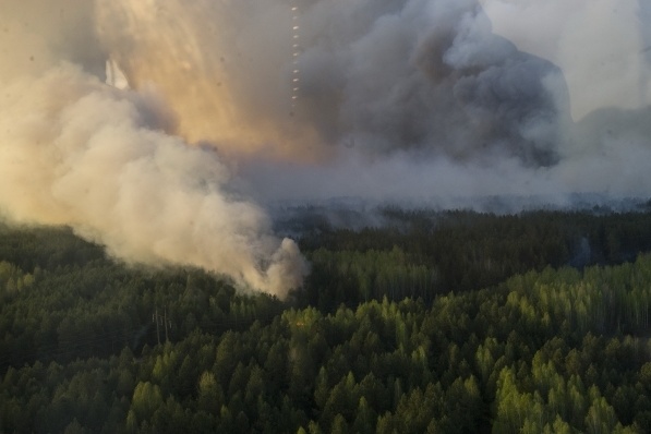 Площу пожежі в Чорнобильській зоні зменшено до 8 га